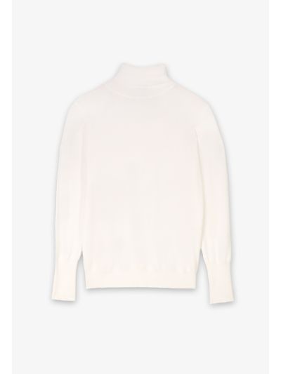 Ribbed Turtle Neckline Slim Fit Solid Basic Top