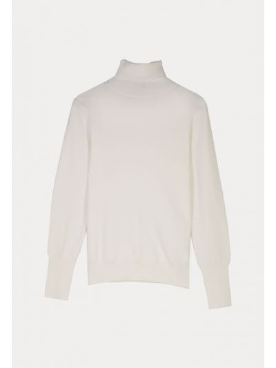 High Turtle Neck Basic Knitted Top