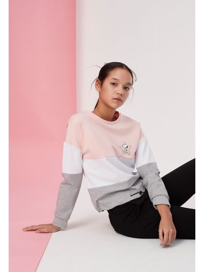 Color Block Snoopy Pullover Blouse