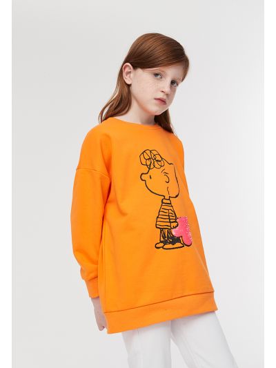 Peanuts Character Print Pullover Blouse