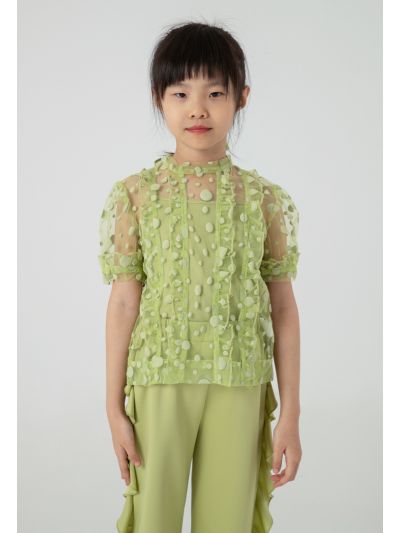 Polka Dot Flocked Mesh Ruffle Trim Blouse