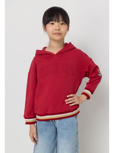 Harvard Textured Solid Hoodie