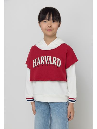 Harvard Two Toned Hoodie