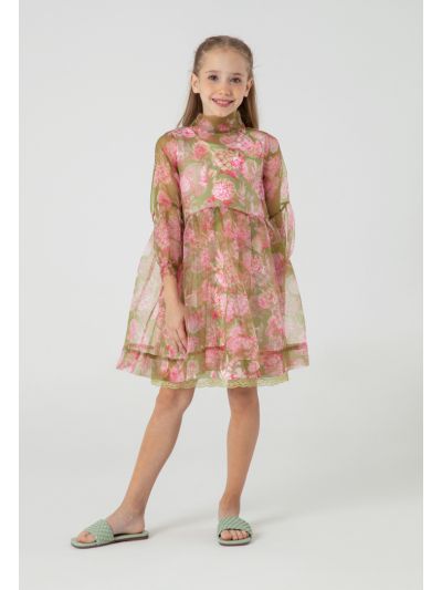 Printed Organza Lantern Sleeve Dress