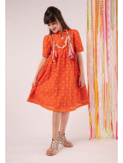 Lace Ruffle Neckline Dress