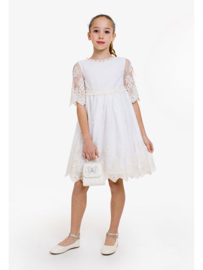 Classic Floral Lace Mesh Dress