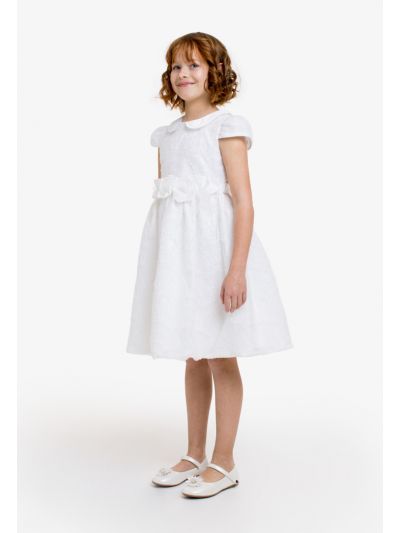 Pleated Belted Floral Lace Dress