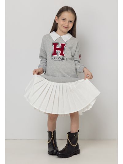 Harvard sweatshirt Pleated Dress