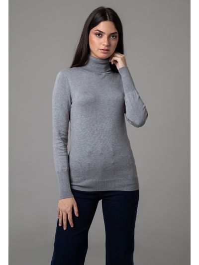 Ribbed Turtle Neckline Slim Fit Solid Basic Top