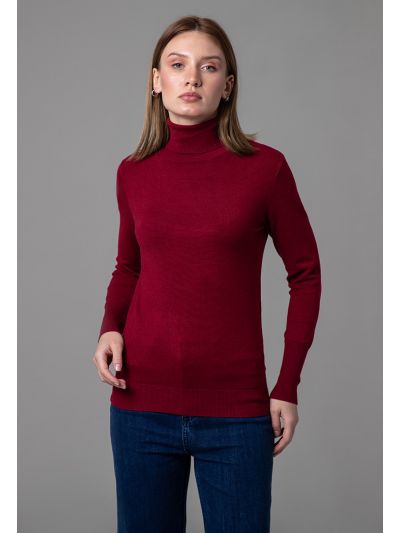 Ribbed Turtle Neckline Slim Fit Solid Basic Top