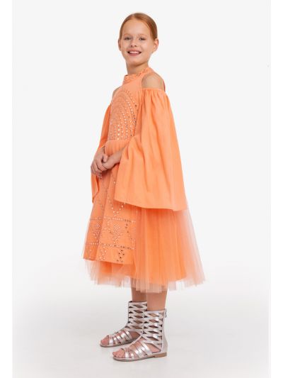 Cold Shoulder Embroidered Tulle Dress