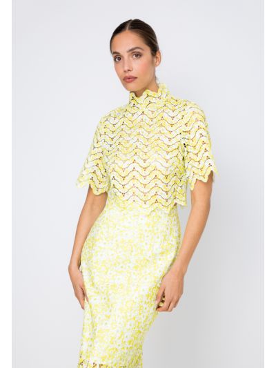 Lace Stand Collar Scalloped Hem T-Shirt