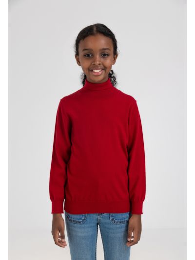 Solid Turtleneck Top
