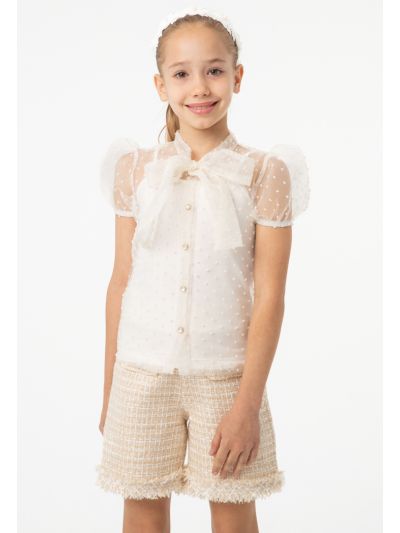 Sheer Bow Tie Neck Button Up Blouse -Sale