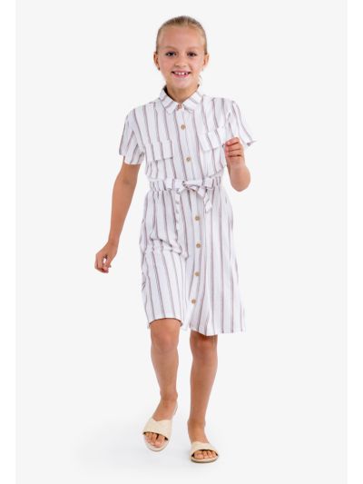 Striped Belted Shirt Dress