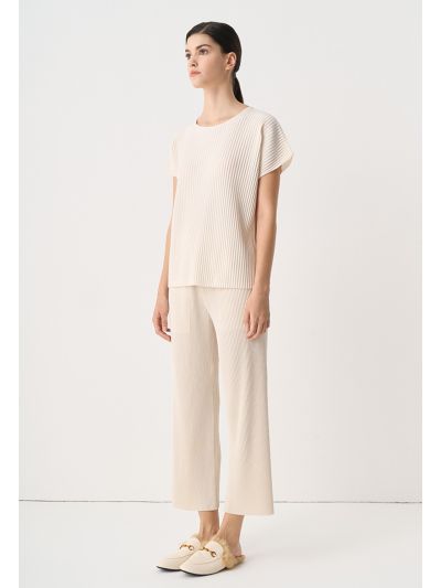 Solid Wide Legs Pleated Trouser