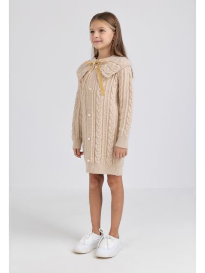 Faux Pearls Embellished Woven Dress