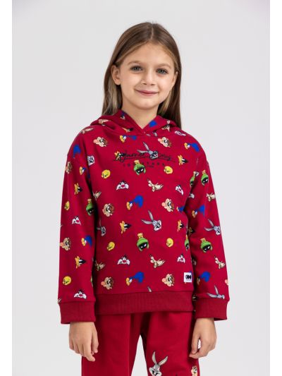 WB Printed Characters Hoodie