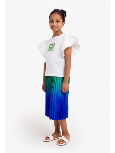 Alluring Gradient Pleated Skirt