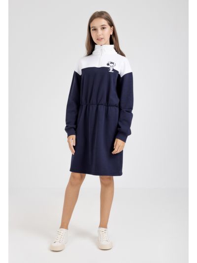 Peanuts Two Toned Dress