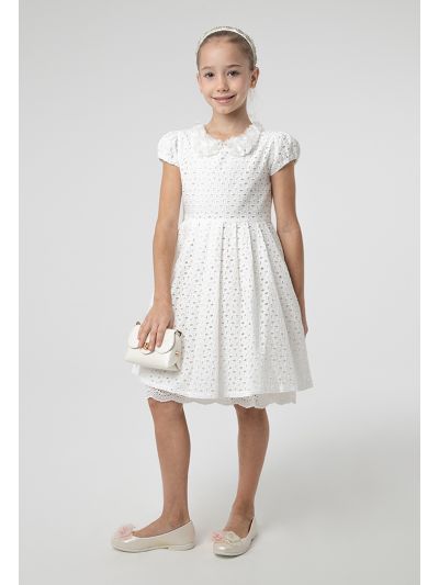 Overlay Lace Fabric Detachable Collar Embellished Dress -Sale