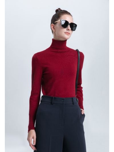 High Turtle Neck Basic Knitted Top