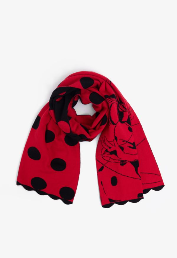 Lady Bug Knitted Scarf