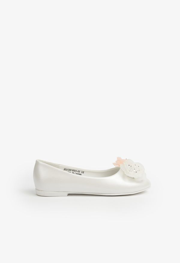 Floral ballet 2025 flats
