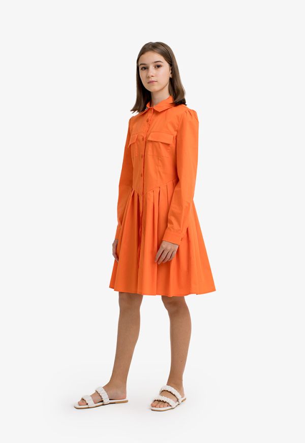 Classic Buttoned Pleated Shirt Dress