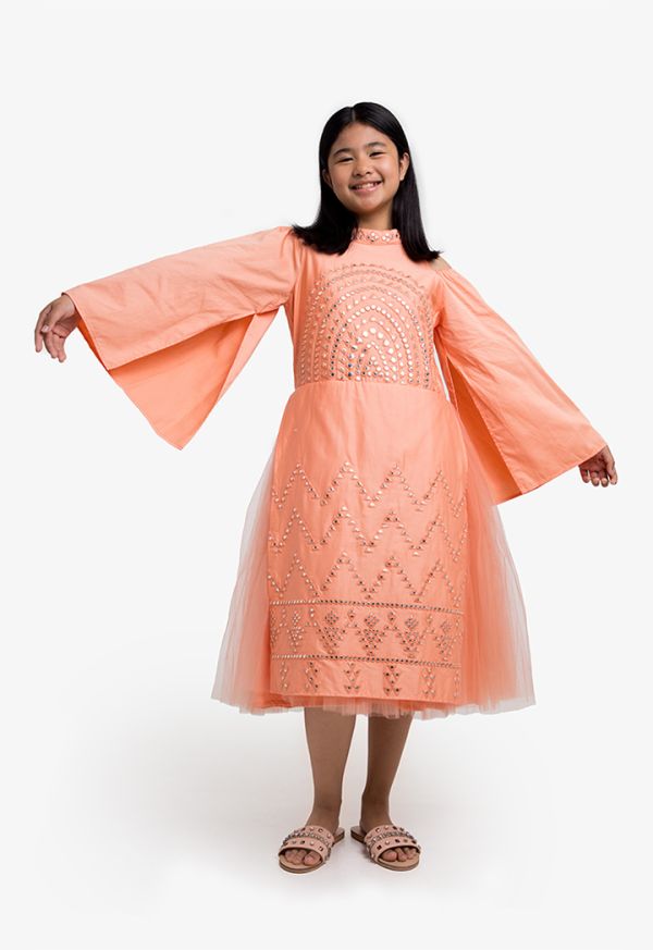 Cold Shoulder Embroidered Tulle Dress