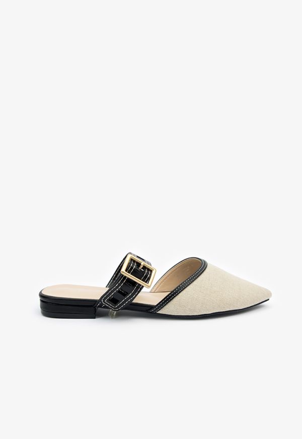 Pointed Buckle Strap Flats
