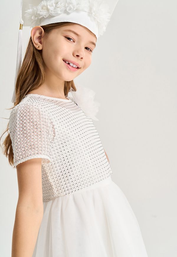 Crystal Embellished Net Dress Set (2 PSC)