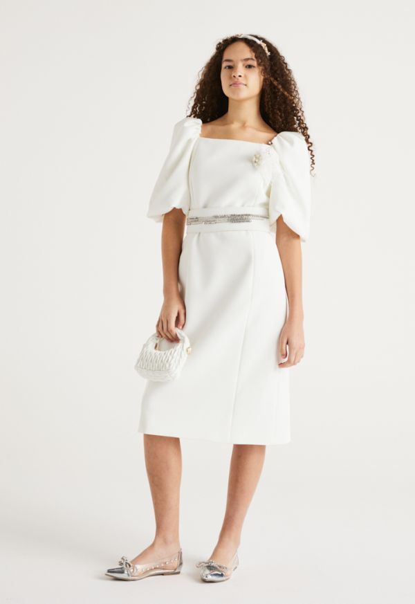 Solid Puff Sleeves Dress