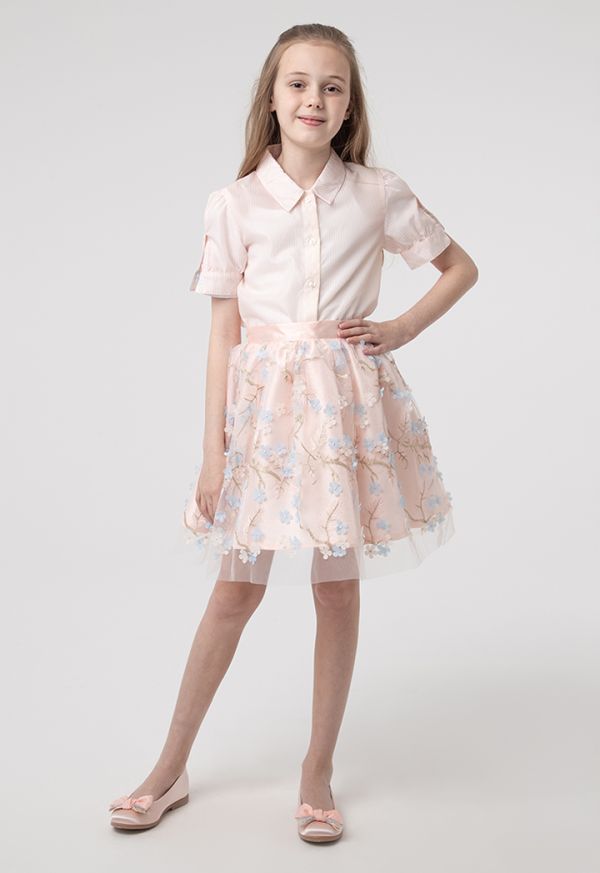 Stripe Sheer Embroidered Blouse And Skirt Dress -Sale