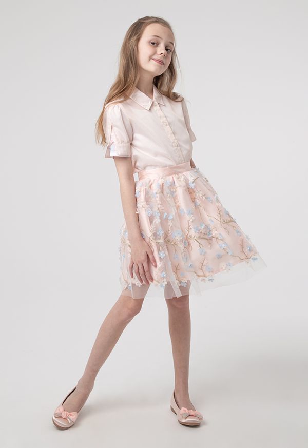 Stripe Sheer Embroidered Blouse And Skirt Dress Sale