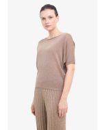 Lurex Shimmery Knitted Blouse