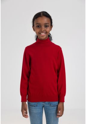 Solid Turtleneck Top