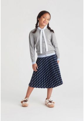 Striped Pleated Skirt