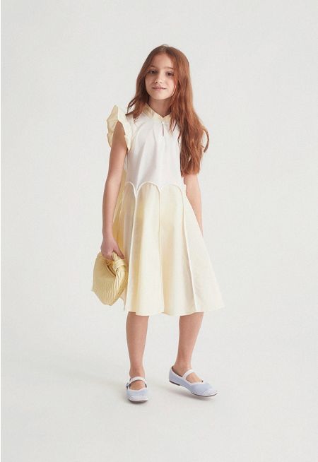 Ruffled Two-Tone Dress