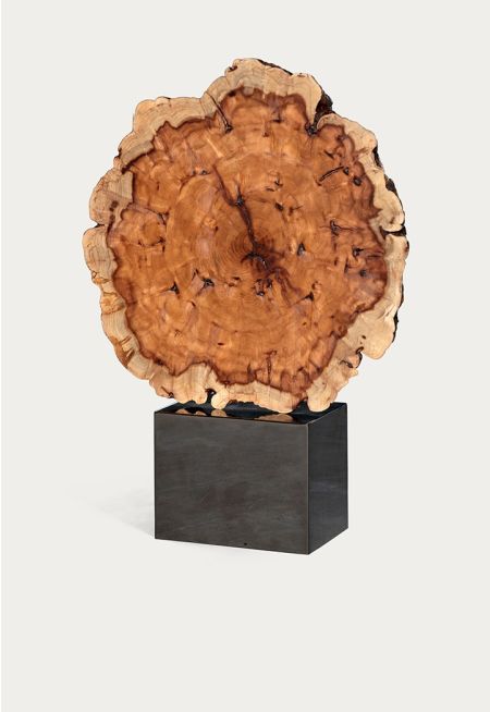 Date wood Gallery Display On Graphite Steel Base