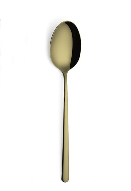 Stainless steel Gold Tone Spoon 215 mm