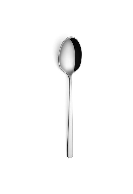 Stainless steel Spoon 180 mm