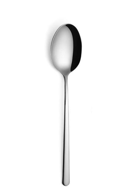 Stainless steel Spoon 215 mm