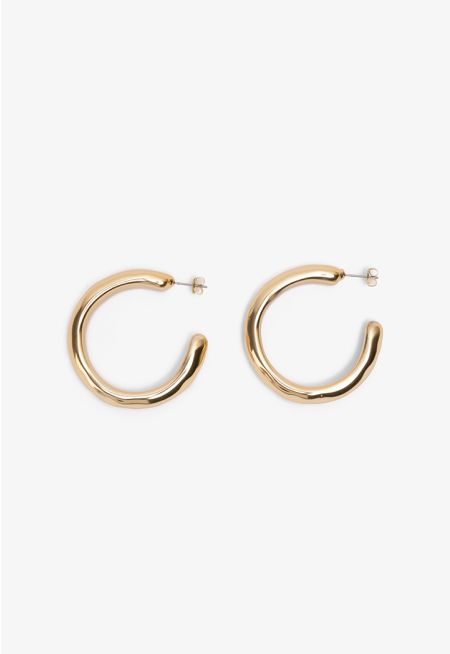 Sleek Golden Earrings