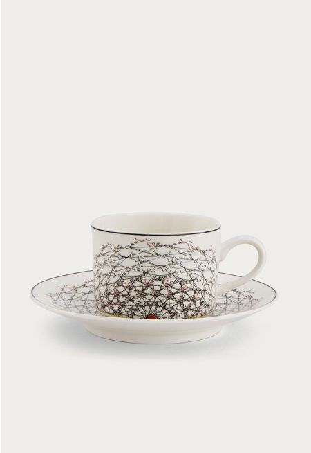 Tea Cup & Saucers Set Of 6 