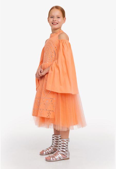 Cold Shoulder Embroidered Tulle Dress