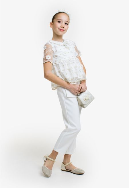 Metallic Mesh Top and Trousers Set
