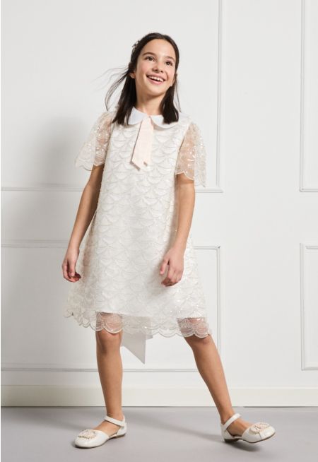 Peter Pan Collar Sequin Mesh Dress