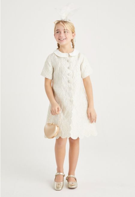 Peter Pan Collar Jacquard Dress