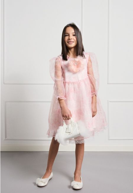 Puff Skirt Mesh Dress Combo (2PCS)